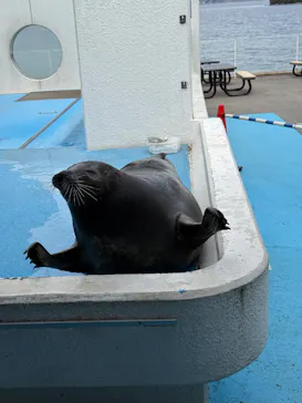 のとじま水族館に投稿された画像（2026/3/14）