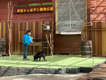 伊豆シャボテン動物公園に投稿された画像（2026/3/14）
