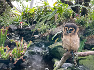 伊豆シャボテン動物公園に投稿された画像（2026/3/14）
