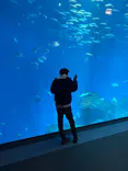 アクアワールド茨城県大洗水族館に投稿された画像（2026/3/14）