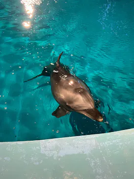 マリンワールド海の中道に投稿された画像（2026/3/14）