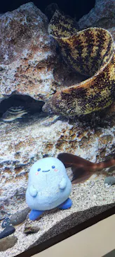 新江ノ島水族館に投稿された画像（2026/3/14）