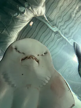 マクセル アクアパーク品川に投稿された画像（2026/3/14）