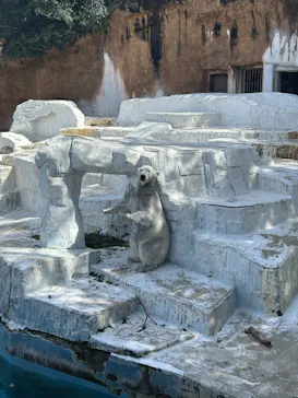 天王寺動物園に投稿された画像（2026/3/14）