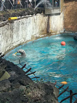 天王寺動物園に投稿された画像（2026/3/14）