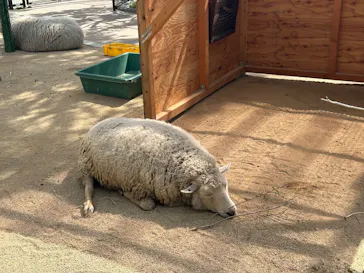 天王寺動物園に投稿された画像（2026/3/14）