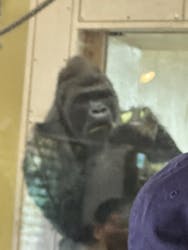 名古屋市東山動植物園に投稿された画像（2026/3/14）