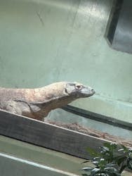 名古屋市東山動植物園に投稿された画像（2026/3/14）