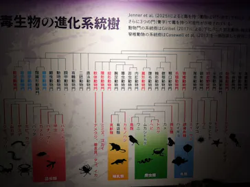 特別展「超危険生物展　科学で挑む生き物の本気」に投稿された画像（2026/3/14）