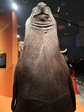 特別展「超危険生物展　科学で挑む生き物の本気」に投稿された画像（2026/3/14）