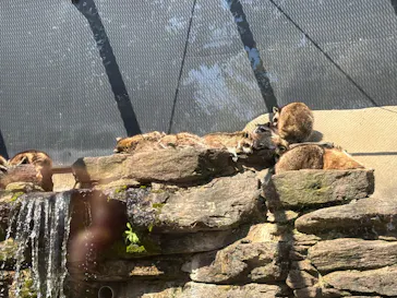 長崎バイオパークに投稿された画像（2026/3/14）