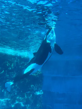 名古屋港水族館に投稿された画像（2026/3/14）