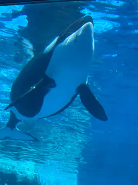 名古屋港水族館に投稿された画像（2026/3/14）