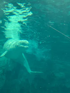 名古屋港水族館に投稿された画像（2026/3/14）