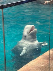 名古屋港水族館に投稿された画像（2026/3/14）