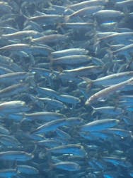 名古屋港水族館に投稿された画像（2026/3/14）