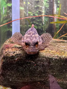 マリンワールド海の中道に投稿された画像（2026/3/14）