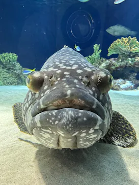 マリンワールド海の中道に投稿された画像（2026/3/14）