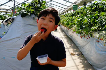 すごう農園直売所ピアッツァに投稿された画像（2026/3/14）