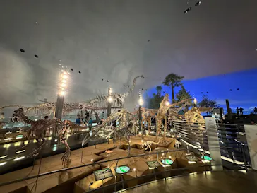 福井県立恐竜博物館に投稿された画像（2026/3/14）