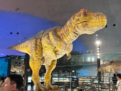 福井県立恐竜博物館に投稿された画像（2026/3/14）