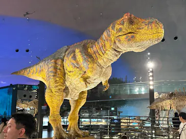 福井県立恐竜博物館に投稿された画像（2026/3/14）