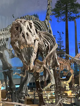 福井県立恐竜博物館に投稿された画像（2026/3/14）