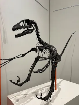 特別展「鳥 ～ゲノム解析が解き明かす新しい鳥類の系統～」に投稿された画像（2026/3/14）