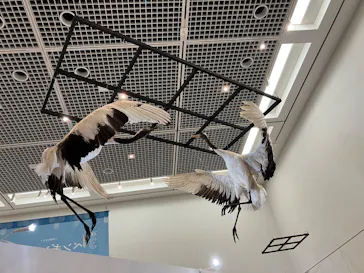 特別展「鳥 ～ゲノム解析が解き明かす新しい鳥類の系統～」に投稿された画像（2026/3/14）