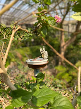 多摩動物公園に投稿された画像（2026/3/14）