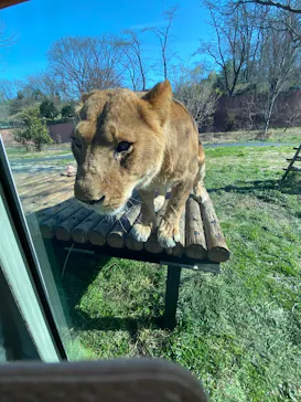多摩動物公園に投稿された画像（2026/3/14）