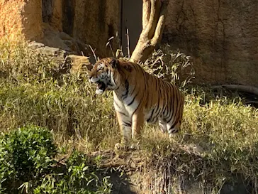 多摩動物公園に投稿された画像（2026/3/14）