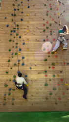 フォレストアドベンチャー・箱根に投稿された画像（2026/3/14）