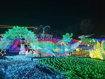 伊豆高原グランイルミに投稿された画像（2026/3/14）