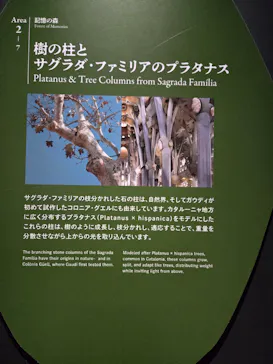 NAKED meets ガウディ展に投稿された画像（2026/3/14）