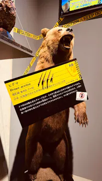 特別展「超危険生物展　科学で挑む生き物の本気」に投稿された画像（2026/3/14）