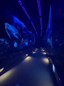 マリンワールド海の中道に投稿された画像（2026/3/14）