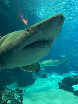 マリンワールド海の中道に投稿された画像（2026/3/14）