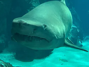 マリンワールド海の中道に投稿された画像（2026/3/14）