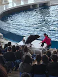 アクアワールド茨城県大洗水族館に投稿された画像（2026/3/15）