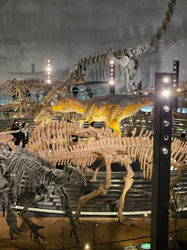 福井県立恐竜博物館に投稿された画像（2026/3/14）
