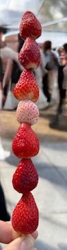 OSAKA Strawberry Festivalに投稿された画像（2026/3/14）