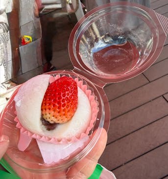 OSAKA Strawberry Festivalに投稿された画像（2026/3/14）