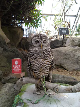 伊豆シャボテン動物公園に投稿された画像（2026/3/14）