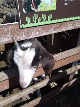 伊豆シャボテン動物公園に投稿された画像（2026/3/14）