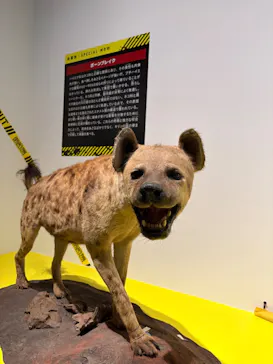 特別展「超危険生物展　科学で挑む生き物の本気」に投稿された画像（2026/3/14）