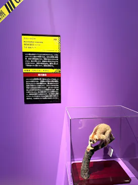 特別展「超危険生物展　科学で挑む生き物の本気」に投稿された画像（2026/3/14）