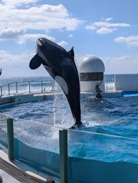 鴨川シーワールドに投稿された画像（2026/3/14）
