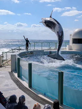 鴨川シーワールドに投稿された画像（2026/3/14）