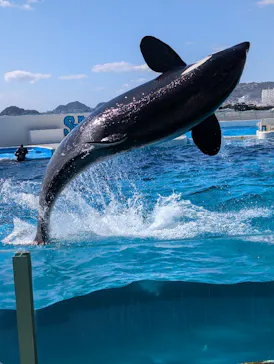 鴨川シーワールドに投稿された画像（2026/3/14）